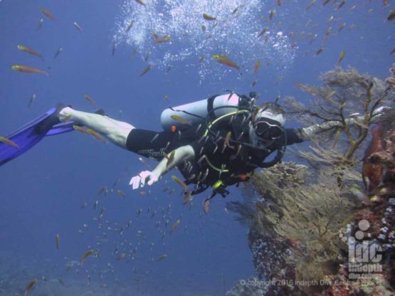 Flying along underwater during a PADI Drift Diver Course with Indepth on Phuket