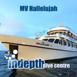 MV Hallelujah Liveaboard one of Phuket's best Liveaboards