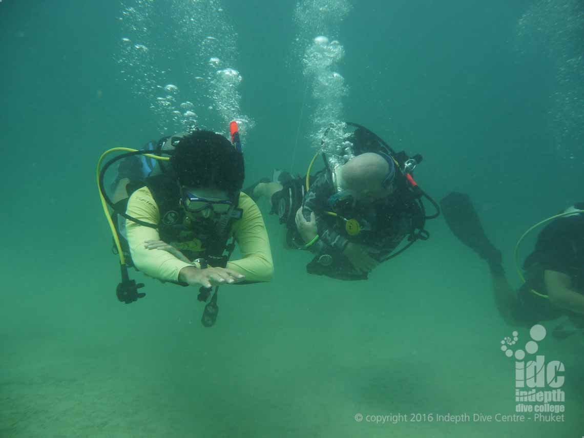 Navigating a straight line underwater is the first skill you learn on The PADI Underwater Navigation Course