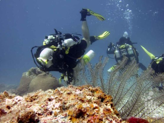 PADI Advanced Student diving on his Rebreather during the the PADI Advanced Open Water Course with Indepth Phuket