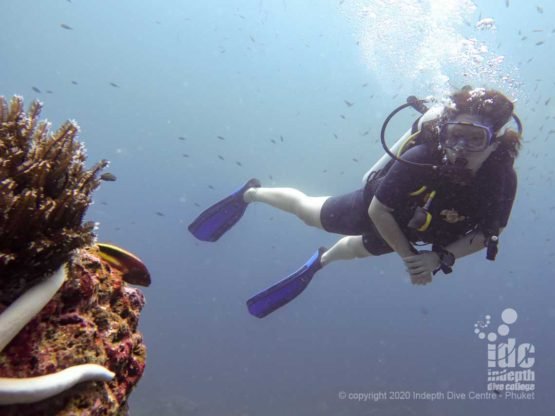 Happy diving at Anita's Reef Similan
