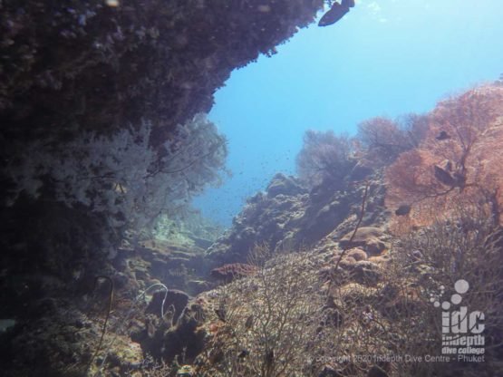 Diving Black Rock Myanmar