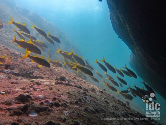 Boulder overhang at Chinese Wall Similan