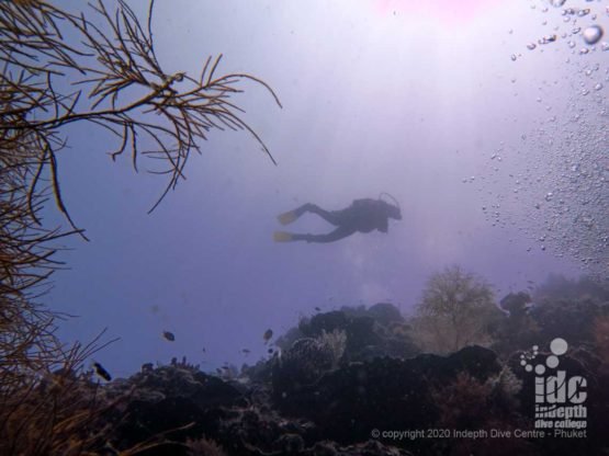 Deep wall at Hin Muang Dive Site Thailand