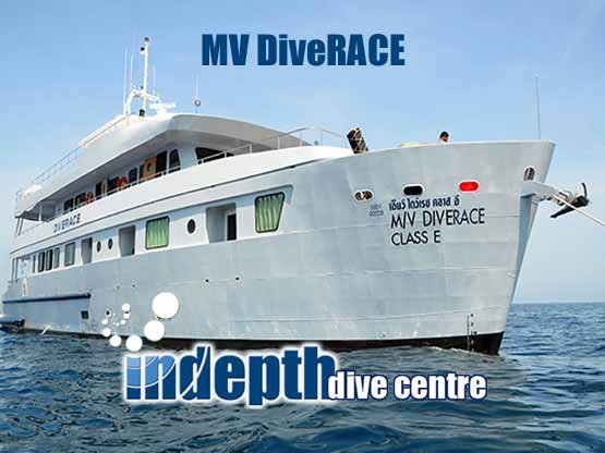 Thailand Liveaboards are the best way to the dive the world famous Similan, Surin and Richelieu Rock. MV DiverAce is a great choice for these destinations