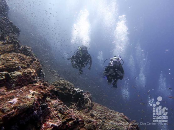 Diving Beacon Reef Dive Site