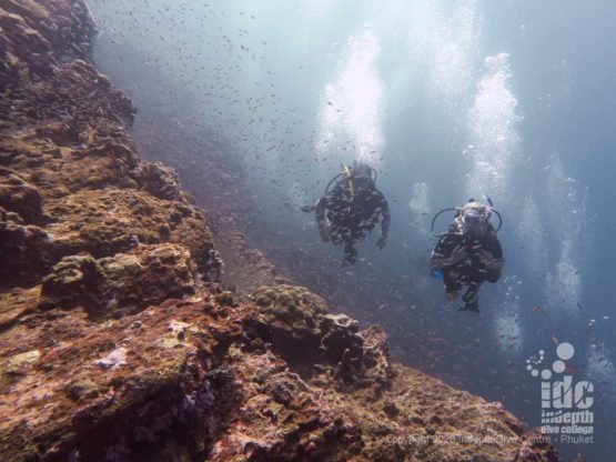 Diving Koh Bon West Ridge Similan Islands