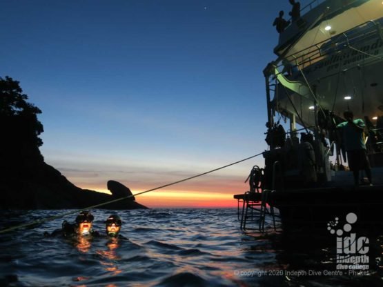 Night Diving Similan Island at Donald Duck Bay Dive SIte