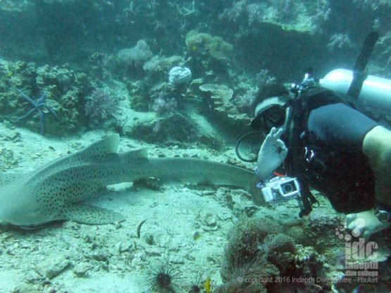 Digital Underwater Instructor Course is one of the most popular on the Phuket PADI Master Scuba Diver Trainer