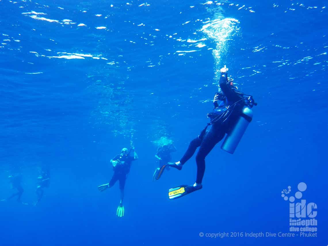 One of the ReActivate Skills on your PADI Scuba Refresher is a PADI Five Point Descent