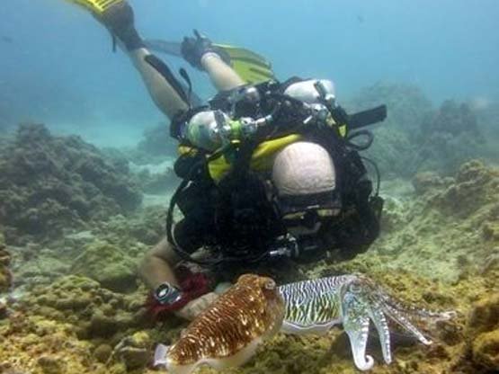 								 PADI Course Director Chris Owen is also a PADI Rebreather Instructor Trainer on Phuket Thailand 		