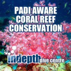 PADI Coral Reef Conservation on Course on Phuket Thailand