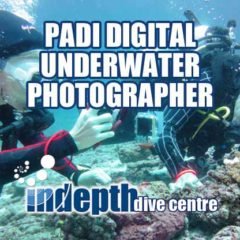 PADI Underwater Photo Course student being watched patiently by her Indepth Instructor