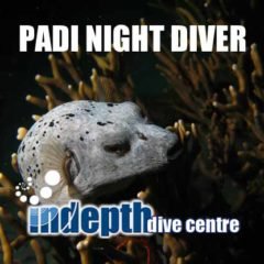 Join us on Phuket for a PADI Night Diver Course