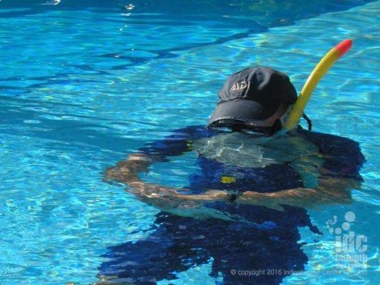 PADI IDC Staff Evaluating a Confined Water Teaching presentation