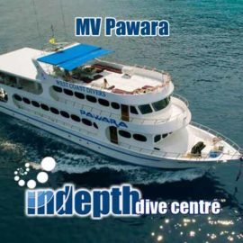 Join Indepth and Pawara Liveaboard for a Similan Islands, Surin Islands, Koh Bon, Koh Tachai and Richelieu Rock adventure