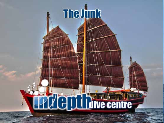 Thailand Liveaboards are the best way to the dive the world famous Similan and Surin dive sites. The Junk takes you to all these dive sites including Hin Daeng and Hin Muang to the South