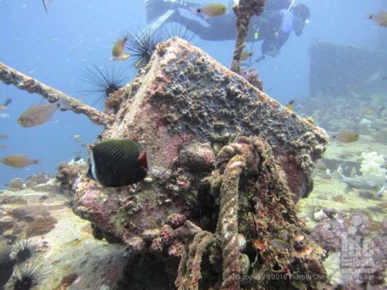 Mooring line on the King Cruiser Wreck in Phuket