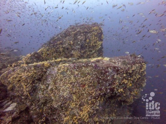 Koh Bon Pinnacle is covered in beautiful yellow soft coral, a unique feature