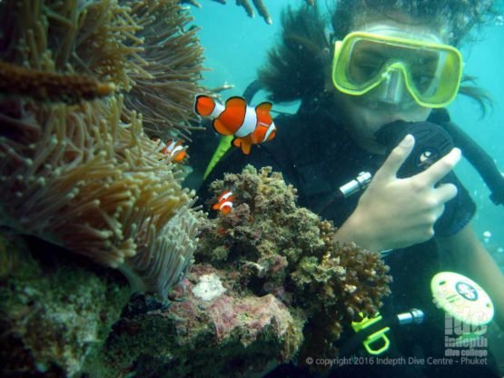 Do you want to try scuba diving with Nemo while on holiday?