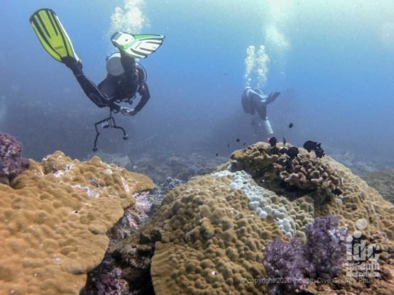 Scuba diving North Twin Pinnacle Myanmar