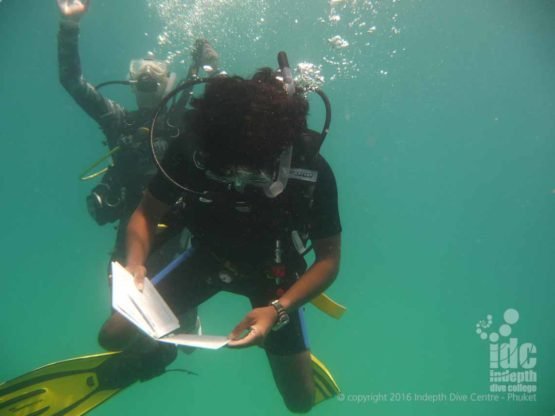 PADI Assistant Instructor Candidate looking at his PADI slates