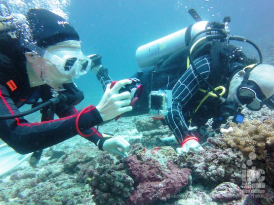 PADI DUP course is one the most popular Phuket Specialty Courses