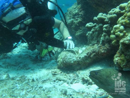 PADI AWARE Shark Conservation student diving on a Rebreather