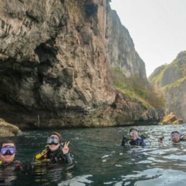 Palong Wall Dive SIte Phi Phi islands
