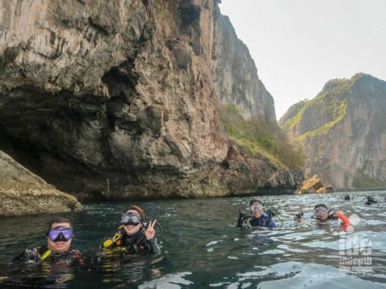 Palong Wall Dive SIte Phi Phi islands