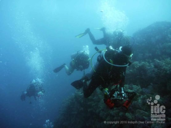 Underwater Photo Instructor course candidates diving Shark Point