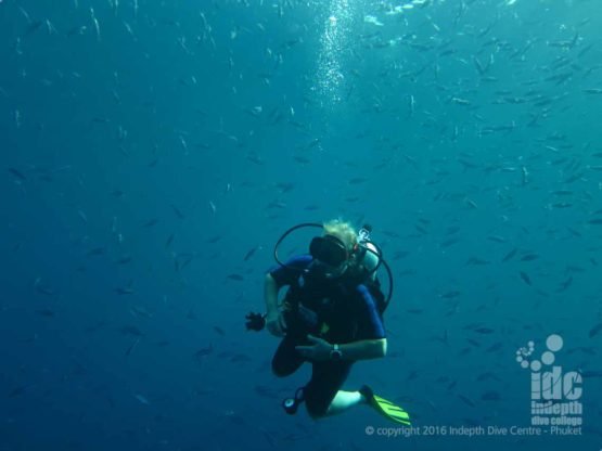 Fish encircling a Phuket scuba diver during a PADI Drift Diver Course