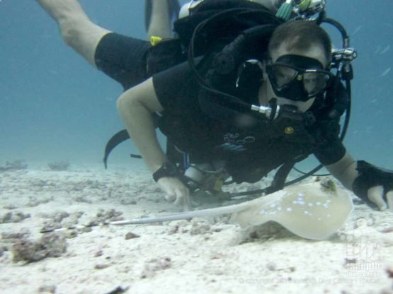 Poseidon Rebreather diver with Indepth Dive Centre at Donald Duck Bay