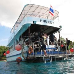 Bungalow Bay is great day out for scuba divers and snorkellers