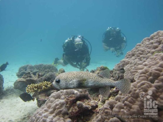 Rebreather Divers from Indepth Dive Centre at Bungalow Bay