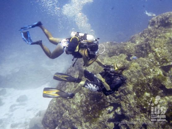 Diving Phuket - Siam Bay - Racha Yai Island