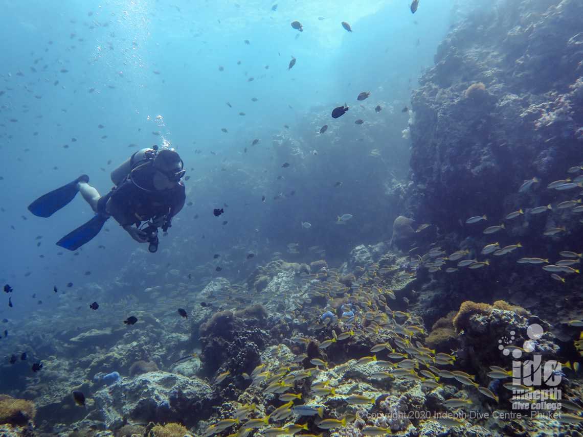 Diving at Shark Point Phuket