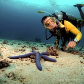 Diving Tachai Reef