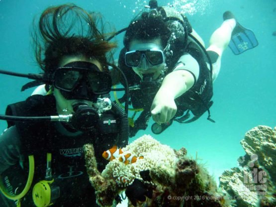 Try scuba diving on Phuket any day of the week, any month of the year