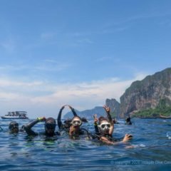 Turtle Rock dive site AKA Maya Wall North - Phi Phi Islands Dive SItes