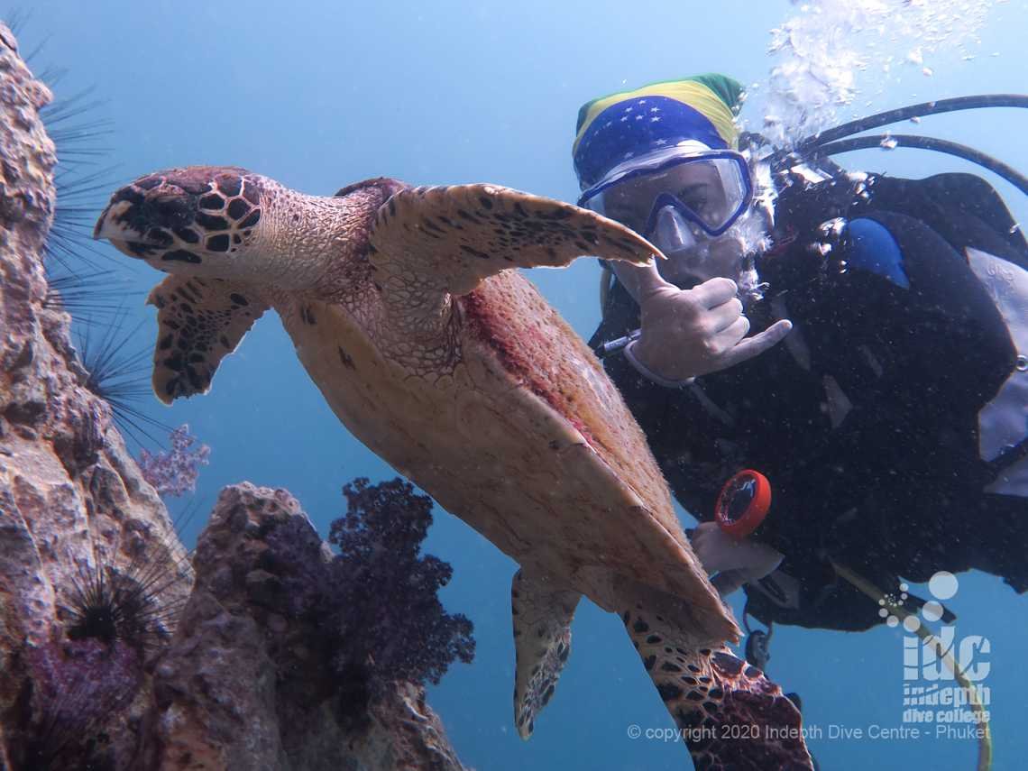 Turtle encounter at Shark Point Phuket