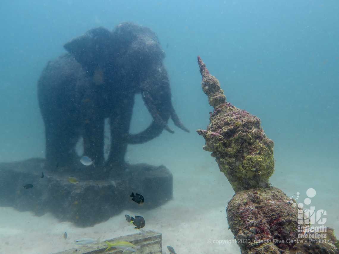 Go Dive with Indepth Dive Centre and Underwater Elephants at Siam Bay Racha Yai Phuket