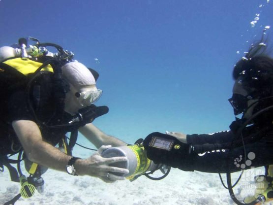 Divers on a PADI Rebreather Combo Course on Phuket Thailand