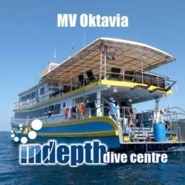 Join Indepth Dive Centre for a superb Similan Liveaboard Trip aboard MV Oktavia Liveaboard